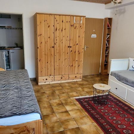 Apartment Betzenberg, Nur Netflix 凯撒斯劳滕 外观 照片