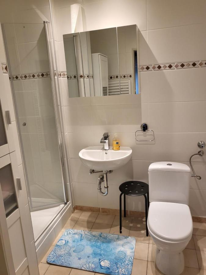 Apartment Betzenberg, Nur Netflix 凯撒斯劳滕 外观 照片